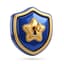Shield Icon